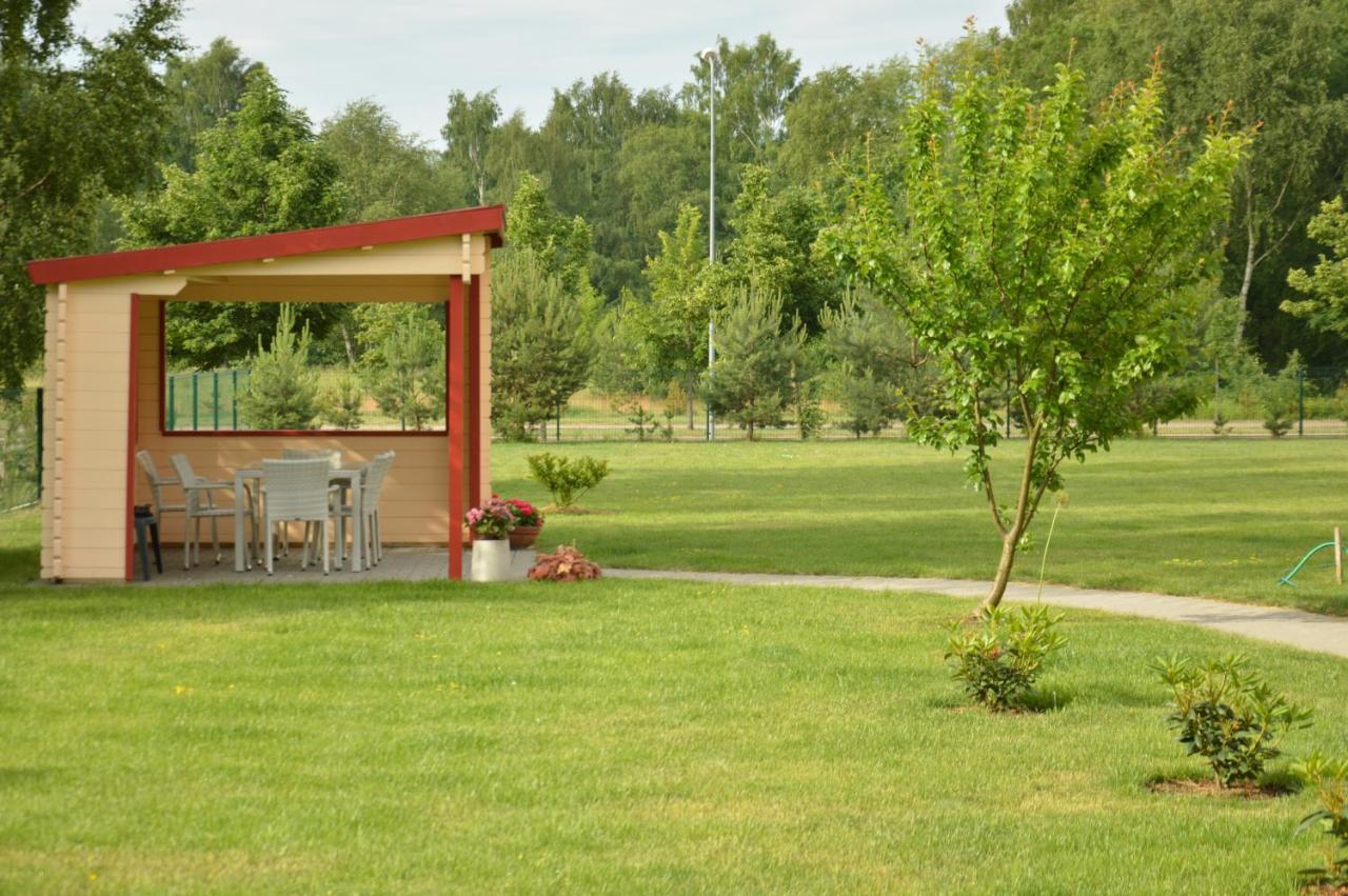 Lavandula Palanga Kültér fotó