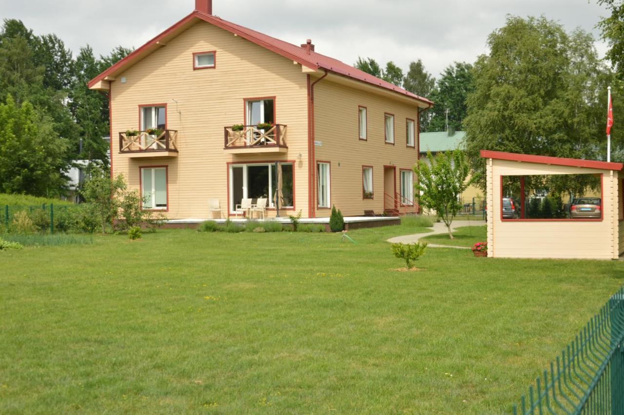 Lavandula Palanga Kültér fotó