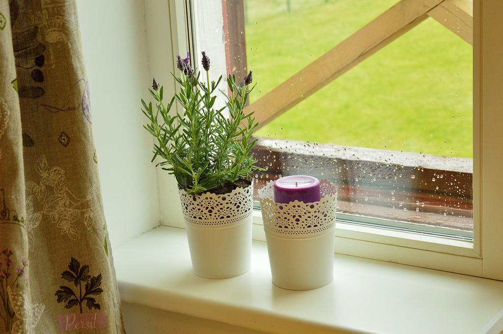 Lavandula Palanga Szoba fotó
